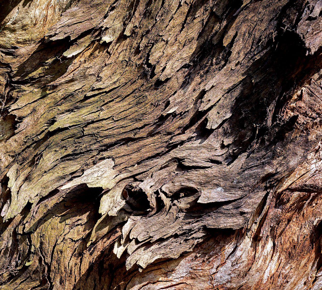 For Sony full frame E-mount interchangeable cameras